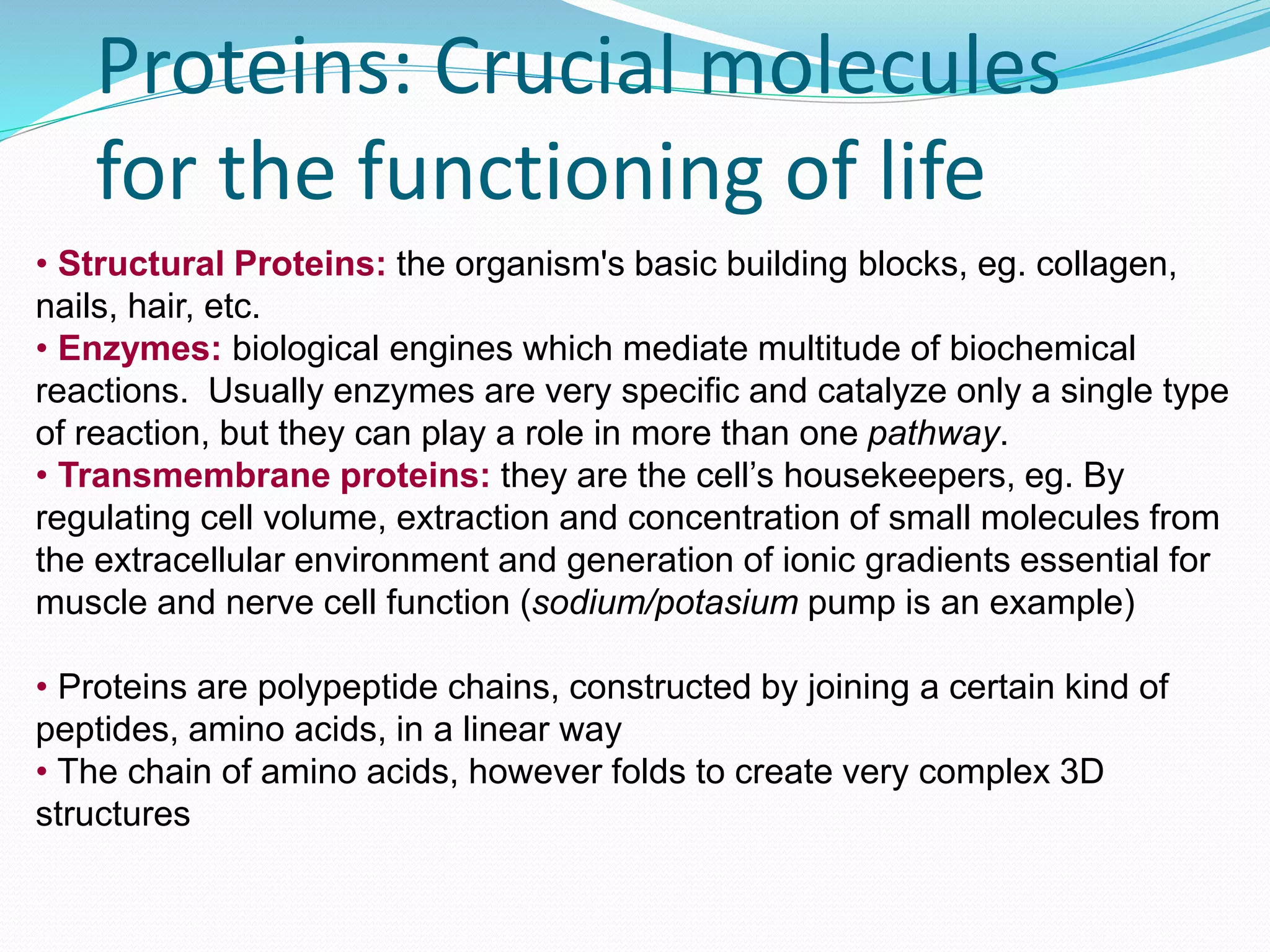 Proteins: Crucial molecules
for the functioning of life
• Structural Proteins: the organism's basic building blocks, eg. collagen,
nails, hair, etc.
• Enzymes: biological engines which mediate multitude of biochemical
reactions. Usually enzymes are very specific and catalyze only a single type
of reaction, but they can play a role in more than one pathway.
• Transmembrane proteins: they are the cell’s housekeepers, eg. By
regulating cell volume, extraction and concentration of small molecules from
the extracellular environment and generation of ionic gradients essential for
muscle and nerve cell function (sodium/potasium pump is an example)
• Proteins are polypeptide chains, constructed by joining a certain kind of
peptides, amino acids, in a linear way
• The chain of amino acids, however folds to create very complex 3D
structures
 