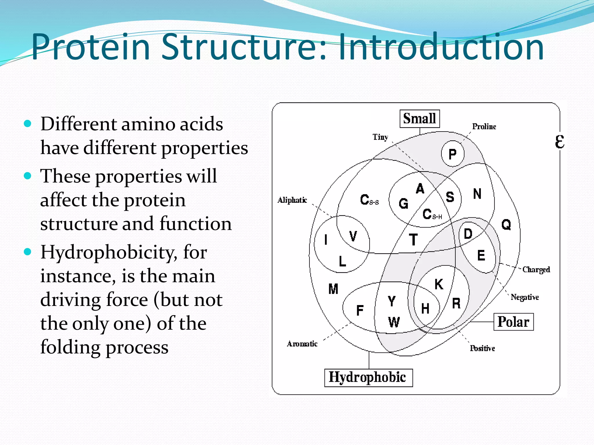 Protein Structure: Introduction
 Different amino acids
have different properties
 These properties will
affect the protein
structure and function
 Hydrophobicity, for
instance, is the main
driving force (but not
the only one) of the
folding process
 