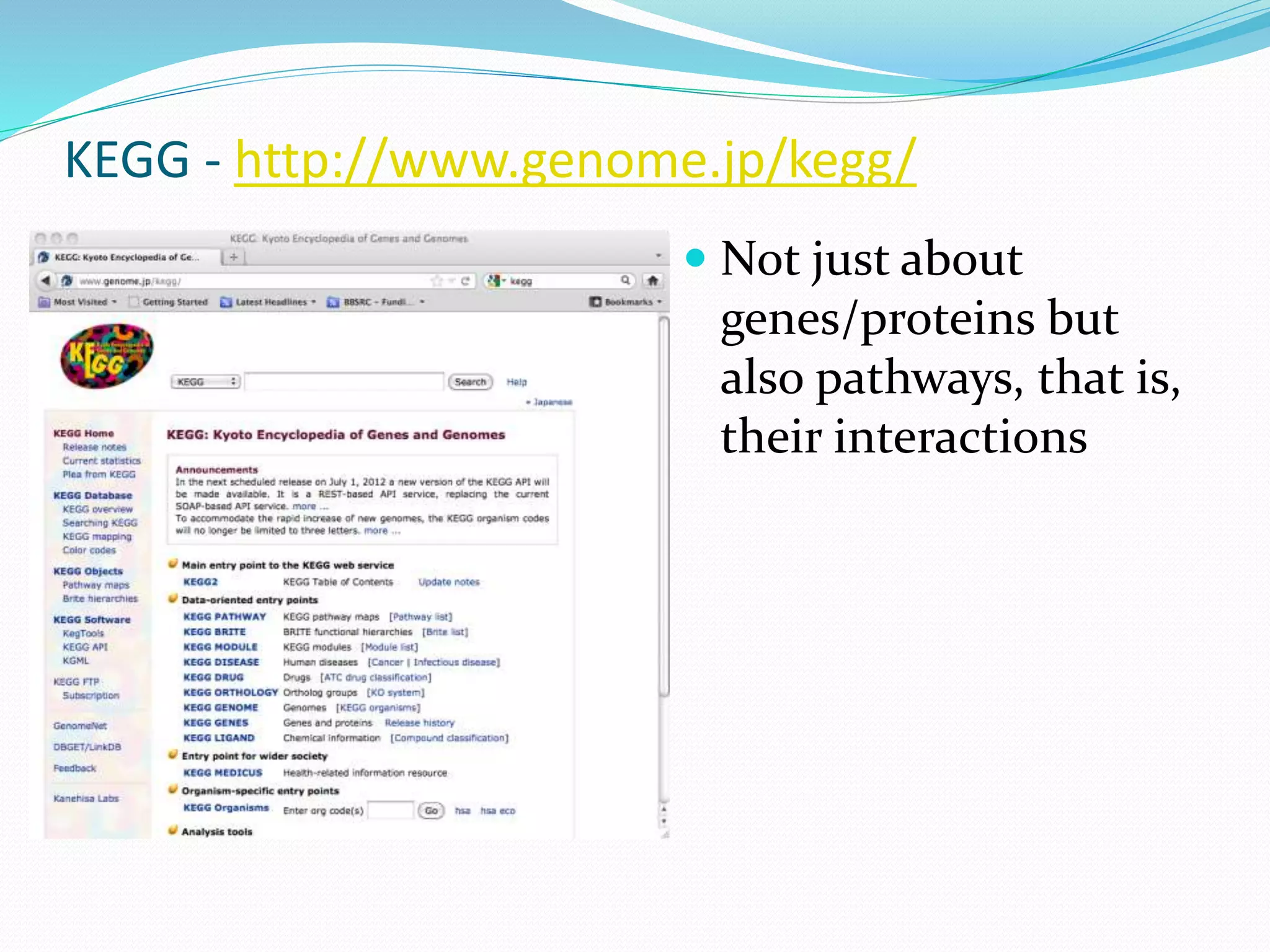 KEGG - http://www.genome.jp/kegg/
 Not just about
genes/proteins but
also pathways, that is,
their interactions
 