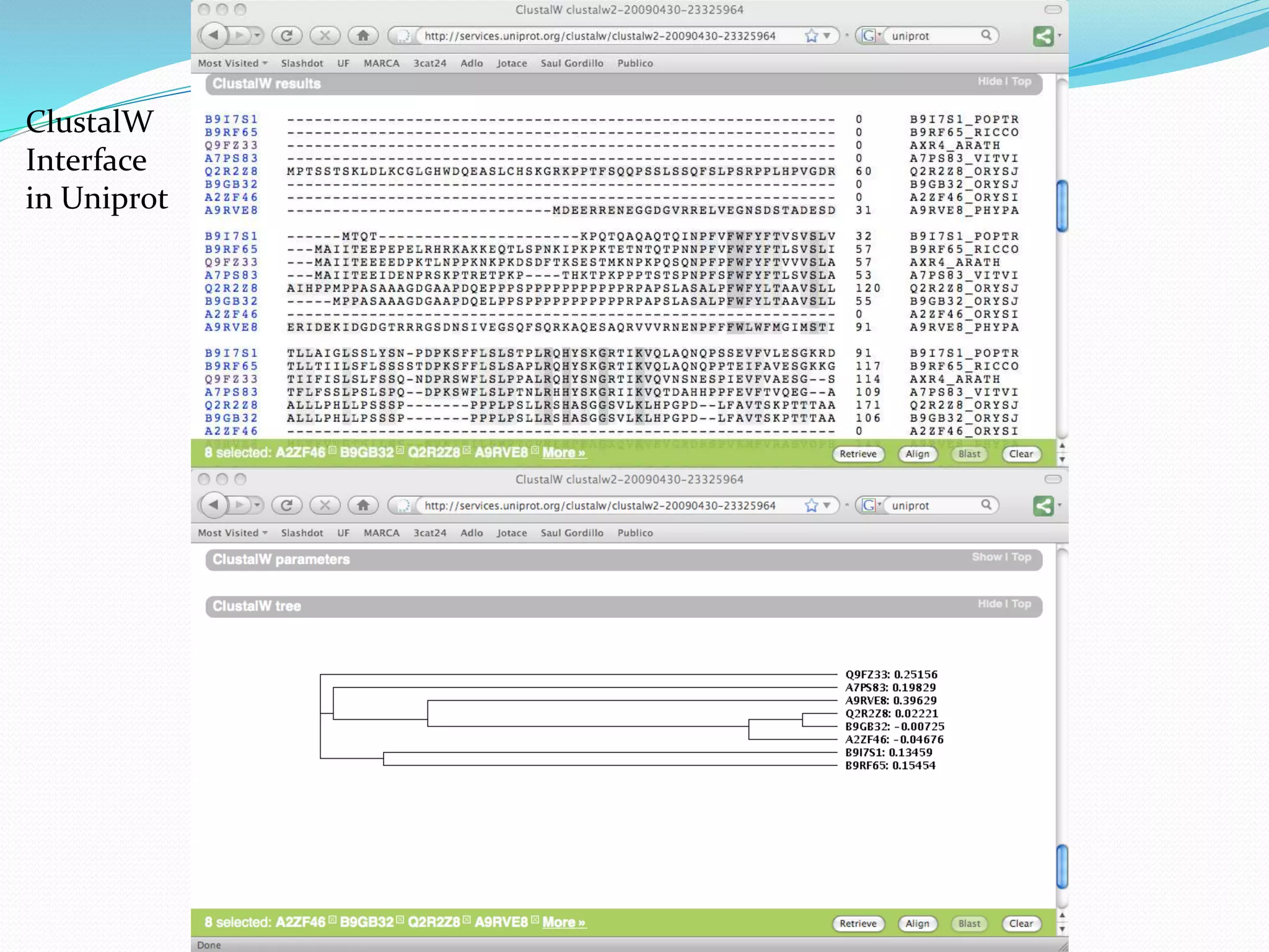 ClustalW
Interface
in Uniprot
 