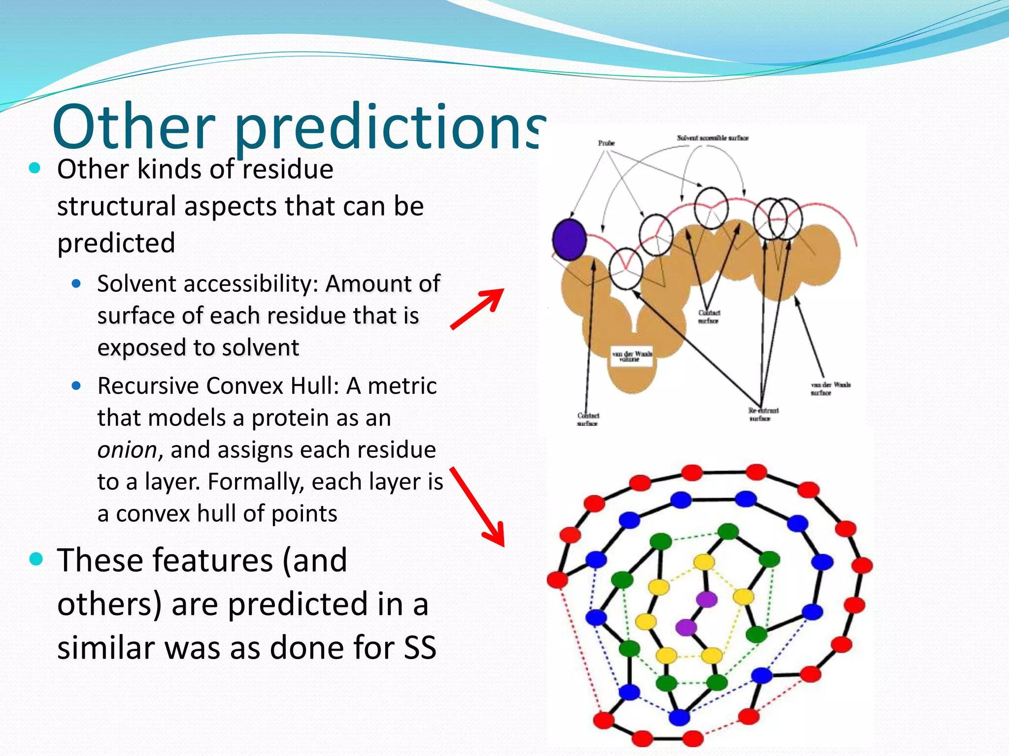 Other predictions Other kinds of residue
structural aspects that can be
predicted
 Solvent accessibility: Amount of
surface of each residue that is
exposed to solvent
 Recursive Convex Hull: A metric
that models a protein as an
onion, and assigns each residue
to a layer. Formally, each layer is
a convex hull of points
 These features (and
others) are predicted in a
similar was as done for SS
 