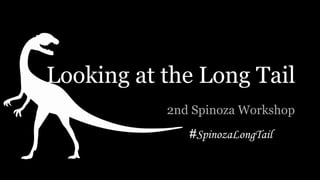 Looking at the Long Tail
2nd Spinoza Workshop
#SpinozaLongTail
 