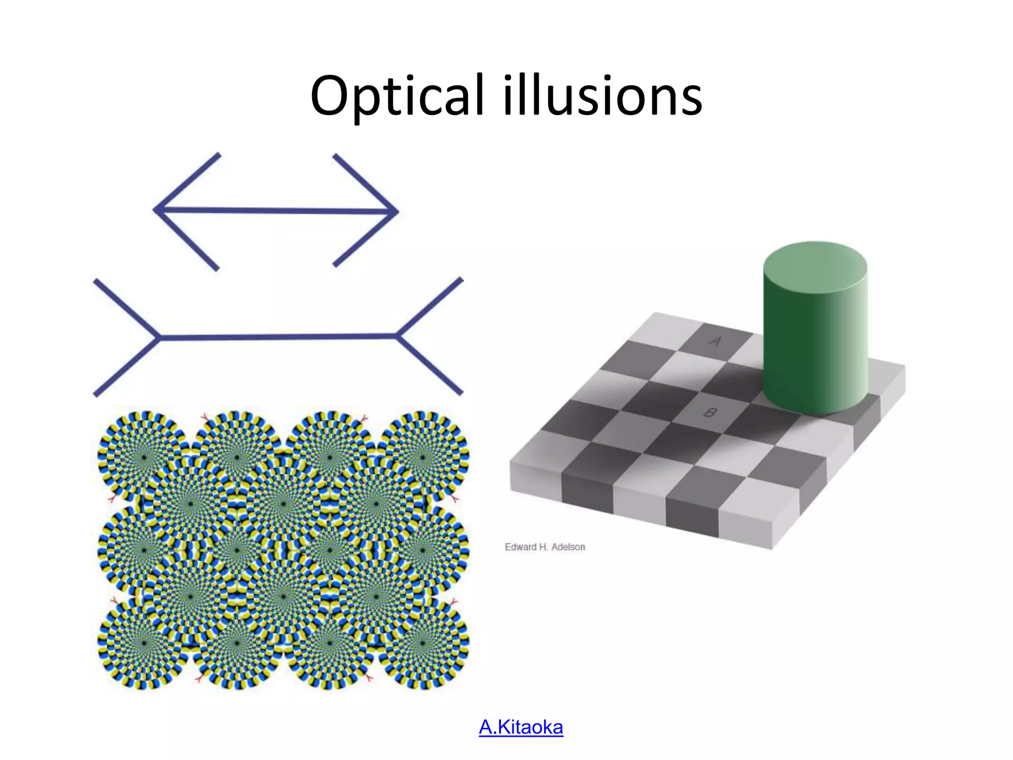 Optical illusions
Copyright A.Kitaoka 2003
 