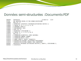 Données semi-structurées :Documents PDF
Introduction au big data 14https://inesslimene.wixsite.com/moncours
 