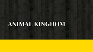 ANIMAL KINGDOM
 