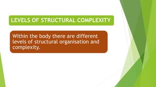 Structural Integrity Antomy Introduction to Human Anatomy and Physiology | PPTX
