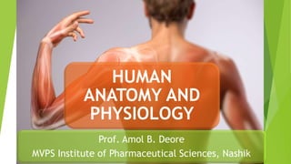 HUMAN
ANATOMY AND
PHYSIOLOGY
Prof. Amol B. Deore
MVPS Institute of Pharmaceutical Sciences, Nashik
 