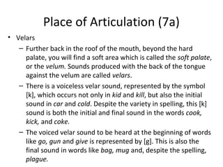 Place of Articulation (7a)
• Velars
– Further back in the roof of the mouth, beyond the hard
palate, you will find a soft area which is called the soft palate,
or the velum. Sounds produced with the back of the tongue
against the velum are called velars.
– There is a voiceless velar sound, represented by the symbol
[k], which occurs not only in kid and kill, but also the initial
sound in car and cold. Despite the variety in spelling, this [k]
sound is both the initial and final sound in the words cook,
kick, and coke.
– The voiced velar sound to be heard at the beginning of words
like go, gun and give is represented by [g]. This is also the
final sound in words like bag, mug and, despite the spelling,
plague.

 