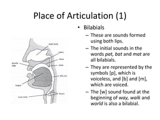 Place of Articulation (1)
• Bilabials
– These are sounds formed
using both lips.
– The initial sounds in the
words pat, bat and mat are
all bilabials.
– They are represented by the
symbols [p], which is
voiceless, and [b] and [m],
which are voiced.
– The [w] sound found at the
beginning of way, walk and
world is also a bilabial.

 