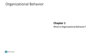 Organizational Behavior
Chapter 1
What Is Organizational Behavior?
 