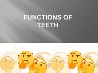 FUNCTIONS OF
TEETH
 