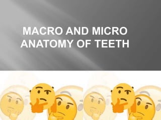MACRO AND MICRO
ANATOMY OF TEETH
 