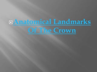 Anatomical Landmarks
Of The Crown
 