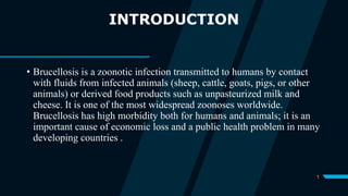 1
INTRODUCTION
• Brucellosis is a zoonotic infection transmitted to humans by contact
with fluids from infected animals (sheep, cattle, goats, pigs, or other
animals) or derived food products such as unpasteurized milk and
cheese. It is one of the most widespread zoonoses worldwide.
Brucellosis has high morbidity both for humans and animals; it is an
important cause of economic loss and a public health problem in many
developing countries .
 