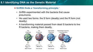 introduction to bioinfromatics.pptx