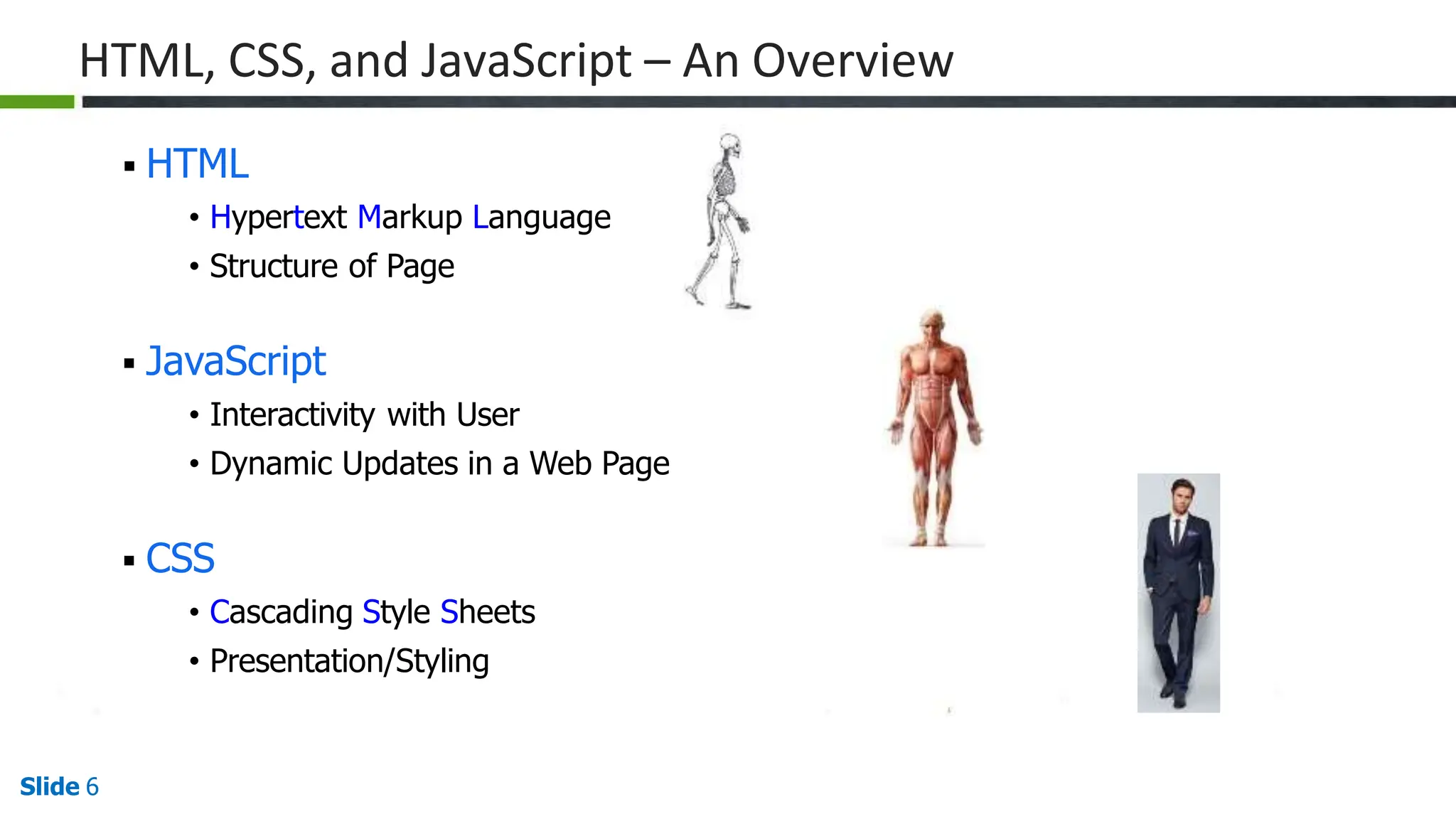 HTML, CSS, and JavaScript – An Overview
 HTML
• Hypertext Markup Language
• Structure of Page
 JavaScript
• Interactivity with User
• Dynamic Updates in a Web Page
 CSS
• Cascading Style Sheets
• Presentation/Styling
Slide 6
 
