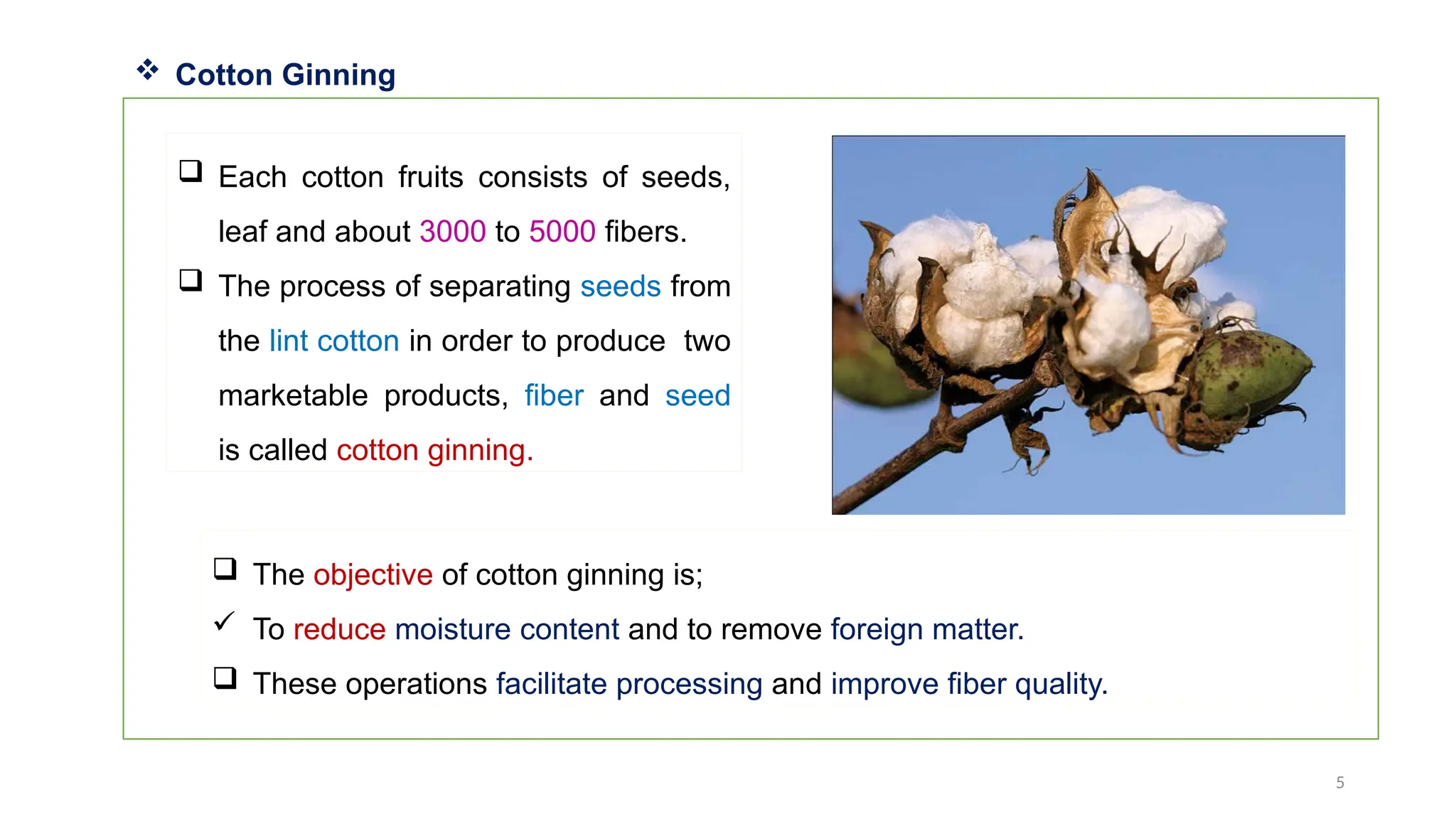 5
 Each cotton fruits consists of seeds,
leaf and about 3000 to 5000 fibers.
 The process of separating seeds from
the lint cotton in order to produce two
marketable products, fiber and seed
is called cotton ginning.
 Cotton Ginning
 The objective of cotton ginning is;
 To reduce moisture content and to remove foreign matter.
 These operations facilitate processing and improve fiber quality.
 