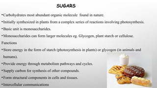 SUGARS
•Carbohydrates most abundant organic molecule found in nature.
•Initially synthesized in plants from a complex series of reactions involving photosynthesis.
•Basic unit is monosaccharides.
•Monosaccharides can form larger molecules eg. Glycogen, plant starch or cellulose.
Functions
•Store energy in the form of starch (photosynthesis in plants) or glycogen (in animals and
humans).
•Provide energy through metabolism pathways and cycles.
•Supply carbon for synthesis of other compounds.
•Form structural components in cells and tissues.
•Intercellular communications
 