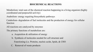 BIOCHEMICAL REACTIONS
Metabolism: total sum of the chemical reaction happening in a living organism (highly
coordinated and purposeful activity)
Anabolism- energy requiring biosynthetic pathways
Catabolism- degradation of fuel molecules and the production of energy for cellular
function
All reactions are catalyzed by enzymes
The primary functions of metabolism are:
a. Acquisition & utilization of energy
b. Synthesis of molecules needed for cell structure and
Functioning (i.e. Proteins, nucleic acids, lipids, & CHO
C. Removal of waste products
 