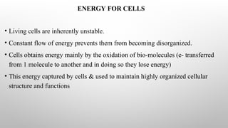 ENERGY FOR CELLS
• Living cells are inherently unstable.
• Constant flow of energy prevents them from becoming disorganized.
• Cells obtains energy mainly by the oxidation of bio-molecules (e- transferred
from 1 molecule to another and in doing so they lose energy)
• This energy captured by cells & used to maintain highly organized cellular
structure and functions
 