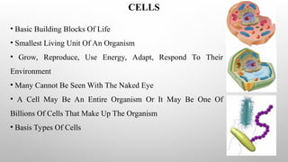 CELLS
• Basic Building Blocks Of Life
• Smallest Living Unit Of An Organism
• Grow, Reproduce, Use Energy, Adapt, Respond To Their
Environment
• Many Cannot Be Seen With The Naked Eye
• A Cell May Be An Entire Organism Or It May Be One Of
Billions Of Cells That Make Up The Organism
• Basis Types Of Cells
 