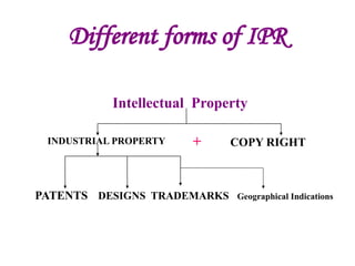 Introduction and science revision ipr.pptx
