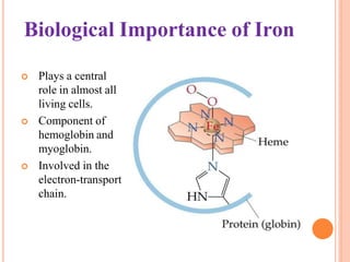 Biological Importance of Iron
 Plays a central
role in almost all
living cells.
 Component of
hemoglobin and
myoglobin.
 Involved in the
electron-transport
chain.
 