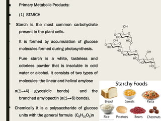 ■ Primary Metabolic Products:
■ (1) STARCH
* Starch is the most common carbohydrate
present in the plant cells.
• It is formed by accumulation of glucose
molecules formed during photosynthesis.
• Pure starch is a white, tasteless and
odorless powder that is insoluble in cold
water or alcohol. It consists of two types of
molecules: the linear and helical amylose
( α(1→4) glycosidic bonds) and the
branched amylopectin (α(1→6) bonds).
* Chemically it is a polysaccharide of glucose
units with the general formula (C6H10O5)n
 