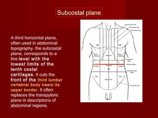 A third horizontal plane,
often used in abdominal
topography, the subcostal
plane, corresponds to a
line level with the
lowest limits of the
tenth costal
cartilages. It cuts the
front of the third lumbar
vertebral body nears its
upper border. It often
replaces the transpyloric
plane in descriptions of
abdominal regions.
Subcostal plane
 