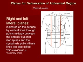 Right and left
lateral planes:
indicated on the surface
by vertical lines through
points midway between
the anterior superior
iliac spines and the
symphysis pubis (these
lines are also called
'mid-clavicular' or
'mammary' lines).
Vertical planes
Planes for Demarcation of Abdominal RegionPlanes for Demarcation of Abdominal Region
 