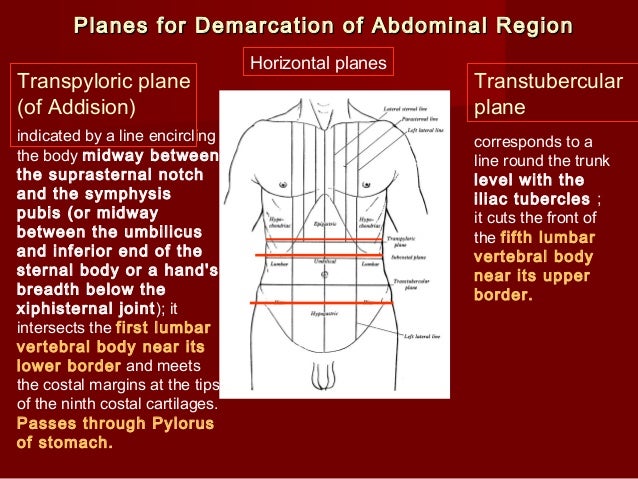 Acumulacion de liquido abdominal