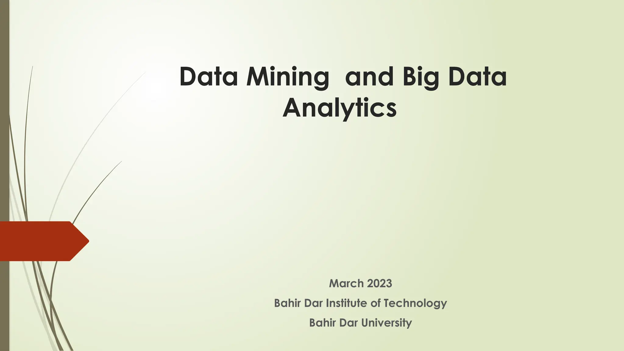 Data Mining and Big Data
Analytics
March 2023
Bahir Dar Institute of Technology
Bahir Dar University
 