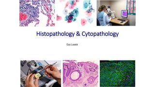 Histopathology & Cytopathology
Gus Lusack
 