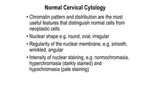 Normal Cervical Cytology
• Chromatin pattern and distribution are the most
useful features that distinguish normal cells f...