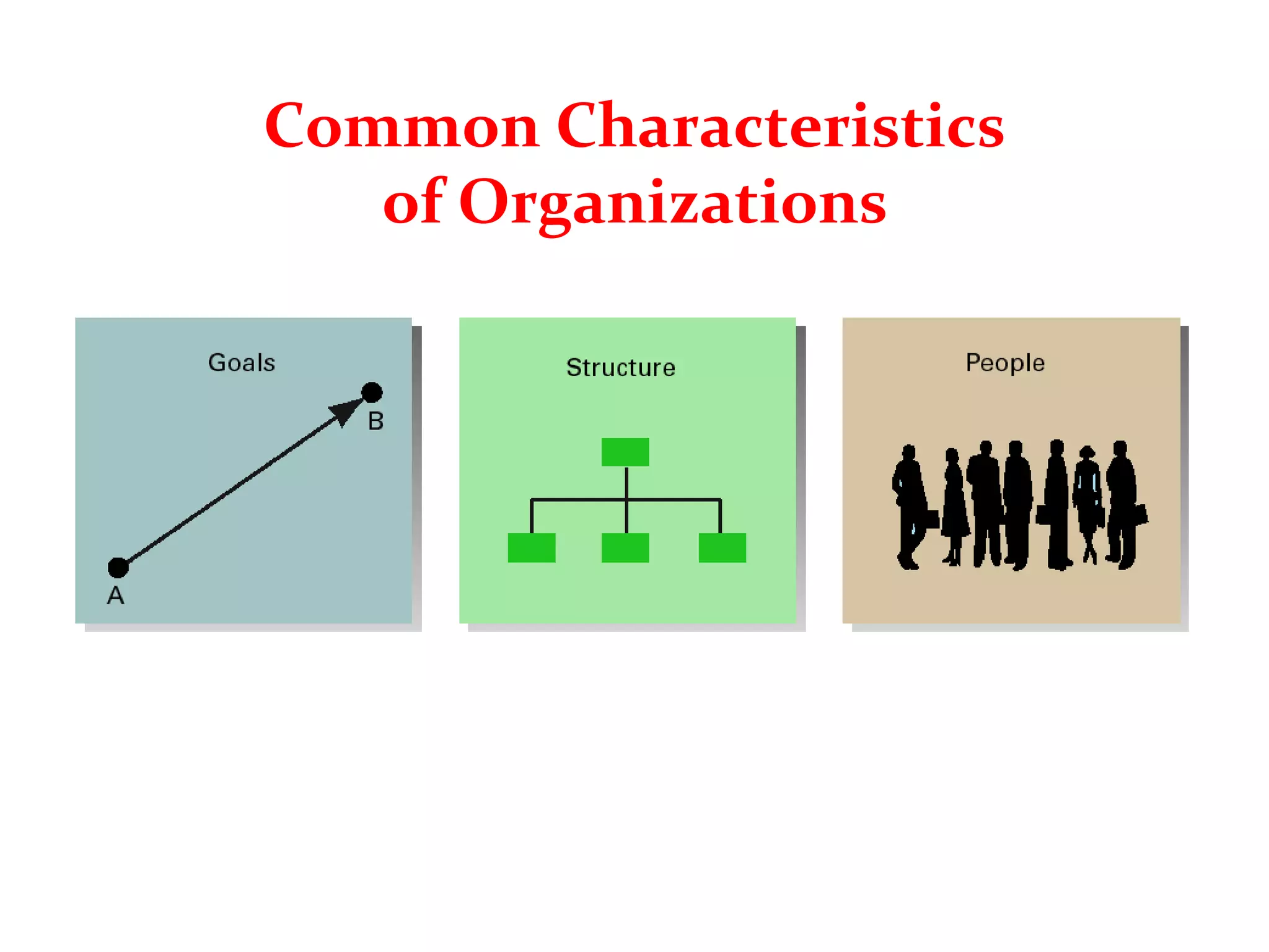 Common Characteristics
of Organizations
 