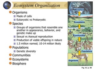 Introduction-Components-of-Ecosystem-Autosaved.pdf