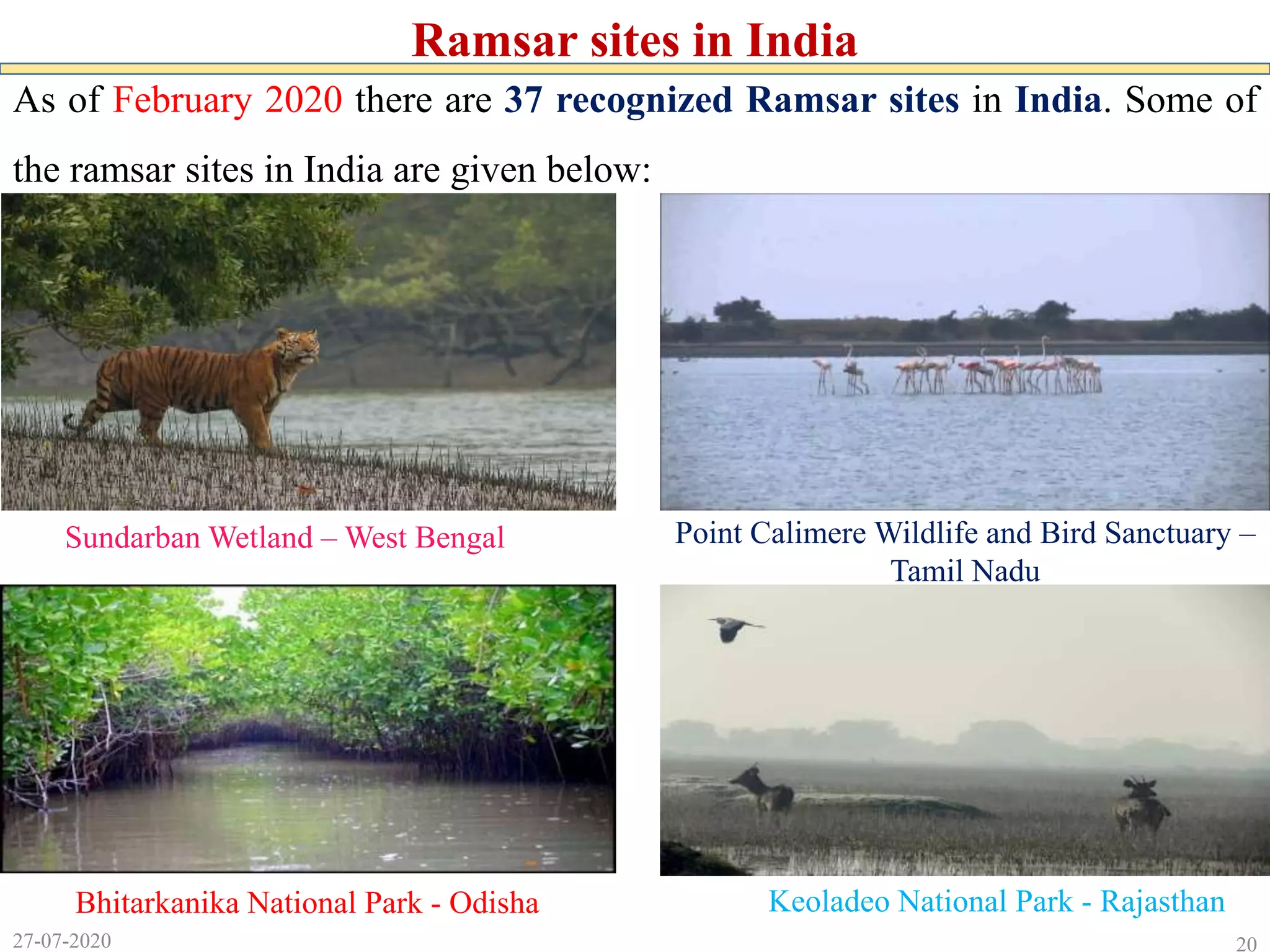 20
As of February 2020 there are 37 recognized Ramsar sites in India. Some of
the ramsar sites in India are given below:
27-07-2020
Ramsar sites in India
Sundarban Wetland – West Bengal Point Calimere Wildlife and Bird Sanctuary –
Tamil Nadu
Bhitarkanika National Park - Odisha Keoladeo National Park - Rajasthan
 