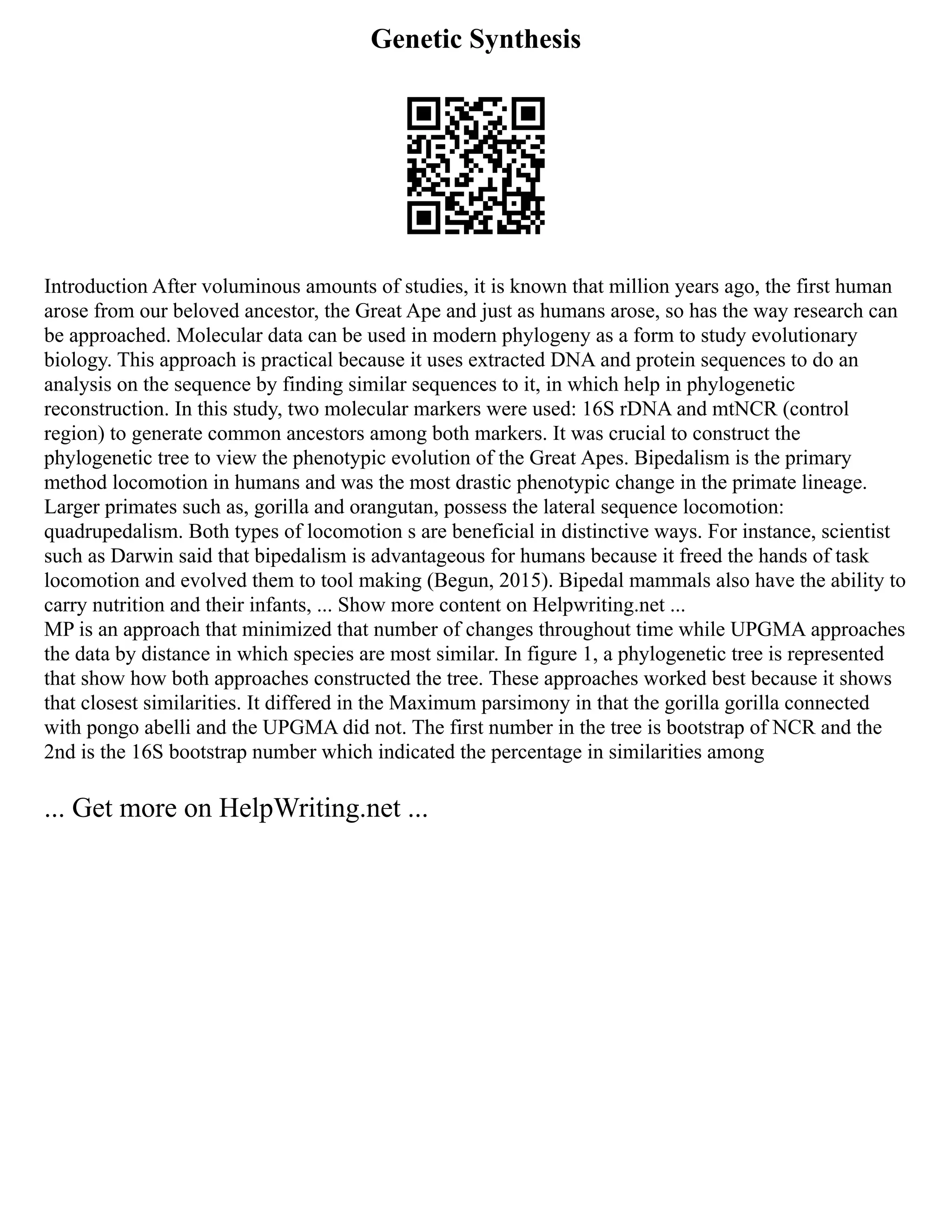 Genetic Synthesis
Introduction After voluminous amounts of studies, it is known that million years ago, the first human
arose from our beloved ancestor, the Great Ape and just as humans arose, so has the way research can
be approached. Molecular data can be used in modern phylogeny as a form to study evolutionary
biology. This approach is practical because it uses extracted DNA and protein sequences to do an
analysis on the sequence by finding similar sequences to it, in which help in phylogenetic
reconstruction. In this study, two molecular markers were used: 16S rDNA and mtNCR (control
region) to generate common ancestors among both markers. It was crucial to construct the
phylogenetic tree to view the phenotypic evolution of the Great Apes. Bipedalism is the primary
method locomotion in humans and was the most drastic phenotypic change in the primate lineage.
Larger primates such as, gorilla and orangutan, possess the lateral sequence locomotion:
quadrupedalism. Both types of locomotion s are beneficial in distinctive ways. For instance, scientist
such as Darwin said that bipedalism is advantageous for humans because it freed the hands of task
locomotion and evolved them to tool making (Begun, 2015). Bipedal mammals also have the ability to
carry nutrition and their infants, ... Show more content on Helpwriting.net ...
MP is an approach that minimized that number of changes throughout time while UPGMA approaches
the data by distance in which species are most similar. In figure 1, a phylogenetic tree is represented
that show how both approaches constructed the tree. These approaches worked best because it shows
that closest similarities. It differed in the Maximum parsimony in that the gorilla gorilla connected
with pongo abelli and the UPGMA did not. The first number in the tree is bootstrap of NCR and the
2nd is the 16S bootstrap number which indicated the percentage in similarities among
... Get more on HelpWriting.net ...
 