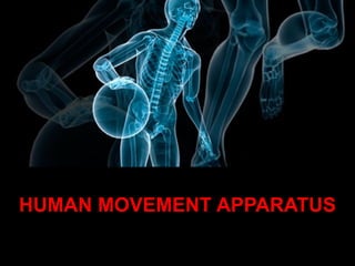 HUMAN MOVEMENT APPARATUS
 