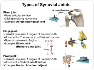 Planar Joint Examples Introduction human movement apparatus-Dr.B.B.Gosai | PDF