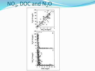 NO3, DOC and N2O
 