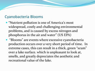 Cyanobacteria Blooms
 “Nutrient pollution is one of America's most
widespread, costly and challenging environmental
problems, and is caused by excess nitrogen and
phosphorus in the air and water” (US EPA)
 “Blooms” are events where excessive cyanobacteria
production occurs over a very short period of time. In
extreme cases, this can result in a thick, green “scum”
over a lake surface. which is unpleasant to look at,
smells, and greatly depreciates the aesthetic and
recreational value of the lake.
 