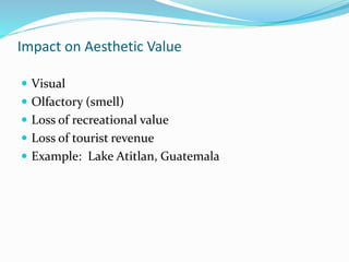 Impact on Aesthetic Value
 Visual
 Olfactory (smell)
 Loss of recreational value
 Loss of tourist revenue
 Example: Lake Atitlan, Guatemala
 