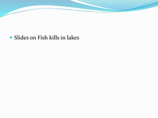  Slides on Fish kills in lakes
 