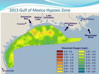 2013 Gulf of Mexico Hypoxic Zone
 
