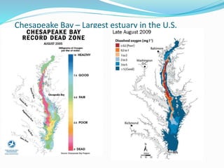 Chesapeake Bay – Largest estuary in the U.S.
 