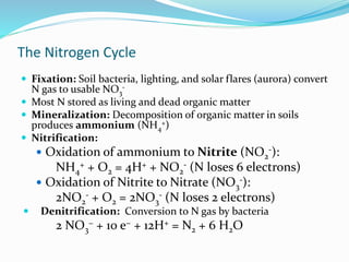 The Nitrogen Cycle
 Fixation: Soil bacteria, lighting, and solar flares (aurora) convert
N gas to usable NO3
-
 Most N stored as living and dead organic matter
 Mineralization: Decomposition of organic matter in soils
produces ammonium (NH4
+)
 Nitrification:
 Oxidation of ammonium to Nitrite (NO2
-):
NH4
+ + O2 = 4H+ + NO2
- (N loses 6 electrons)
 Oxidation of Nitrite to Nitrate (NO3
-):
2NO2
- + O2 = 2NO3
- (N loses 2 electrons)
 Denitrification: Conversion to N gas by bacteria
2 NO3
− + 10 e− + 12H+ = N2 + 6 H2O
 