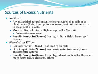 Sources of Excess Nutrients
 Fertilizer
 Any material of natural or synthetic origin applied to soils or to
plant tissues (leafs) to supply one or more plant nutrients essential
to the growth of plants.
 More fertilizer addition = Higher crop yield = More $$$
 No incentive to conserve
 Runoff (Non-point Source) from agricultural fields, lawns, golf
courses
 Waste Water Effluent
 Contains excess C, N and P not used by animals
 Direct input (Point Source) from waste water treatment plants
and/or septic systems
 Runoff (Non-point Source) from high-density animal feedlots and
mega farms (cows, chickens, other)
 