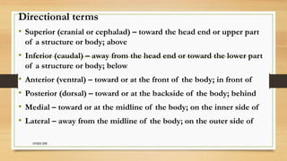 introduction to anatomy and physiology 1st sem bsc nursing | PPT