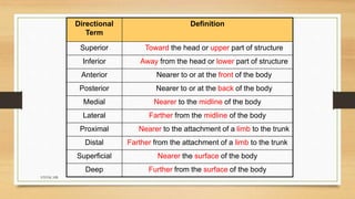 introduction to anatomy and physiology 1st sem bsc nursing | PPT